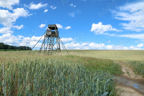 A picture from czech nature, the field with a raised hide during the nice summer day.