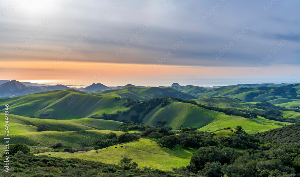 Landscape with Rolling Hills of Grass at Sunset