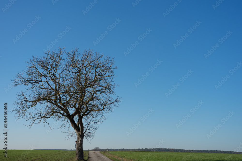 Versteckspiel Versteckspiel