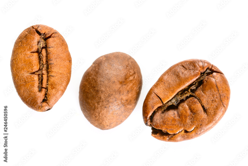 Coffee beans. Three lightly roasted coffee beans maccro view, close up, isolated on white background. Coffee beans. Three lightly roasted coffee beans maccro view, close up, isolated on white background.