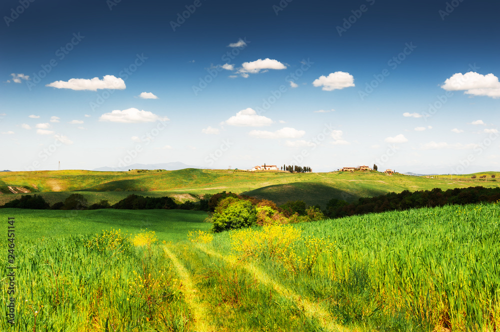 Green fields and the blue sky in Tuscany, Italy.
