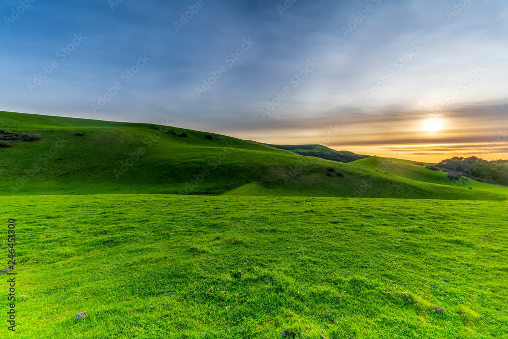 Rolling Fields of Grass on Hills at Sunset 