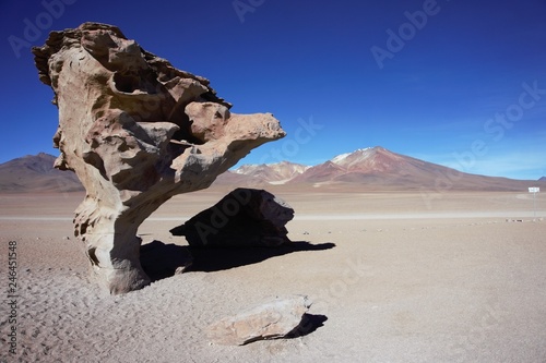 Yadang in the Atacama desert photo