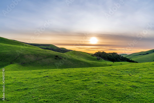 Sunset in the Rolling Hills of Grass 