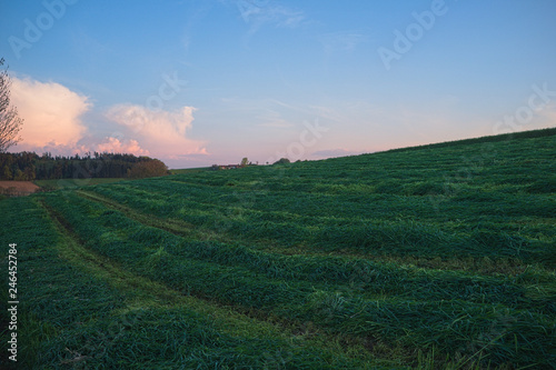 Abendstimmung im Voralpenland mit gemähter Wiese im Vordergrund und softem Abendrot im Hintergrund