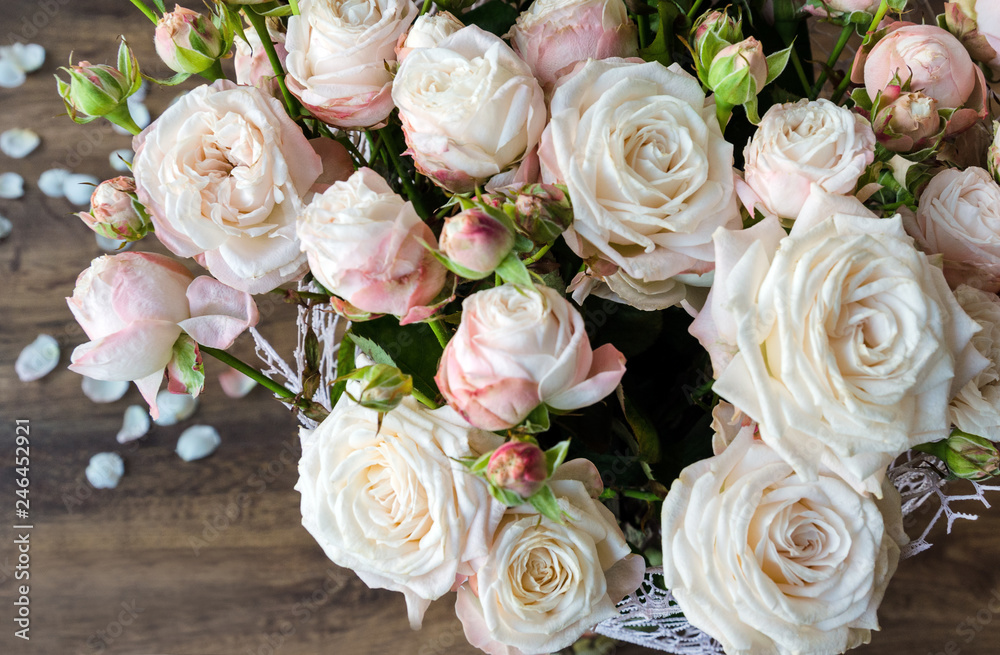 Pink roses on a light fluffy background Pink roses on a light fluffy background