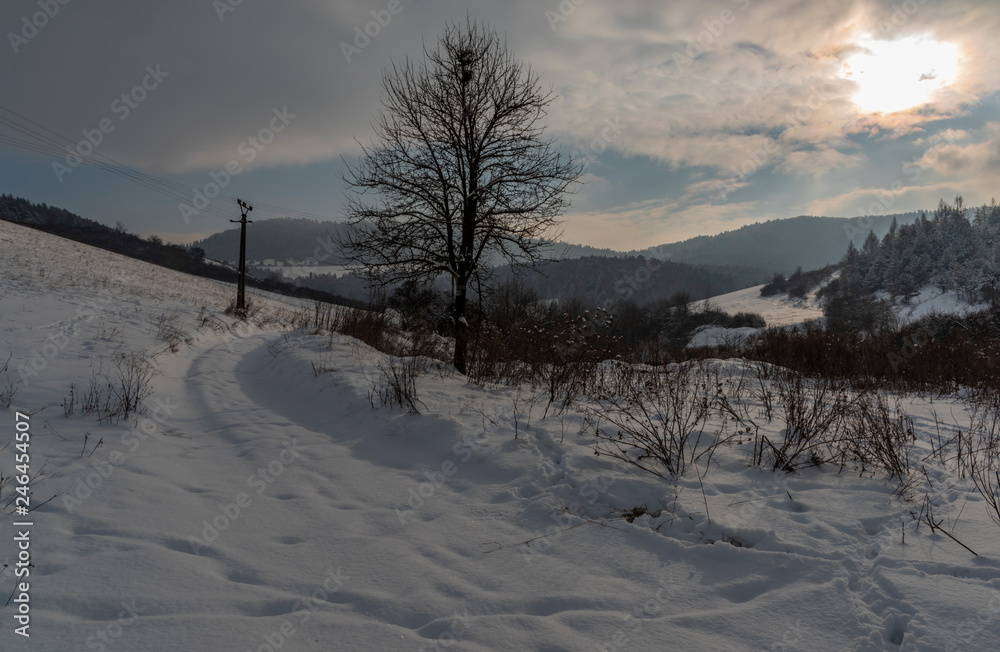 Path near Dubovica village in east Slovakia in snow frosty morning
