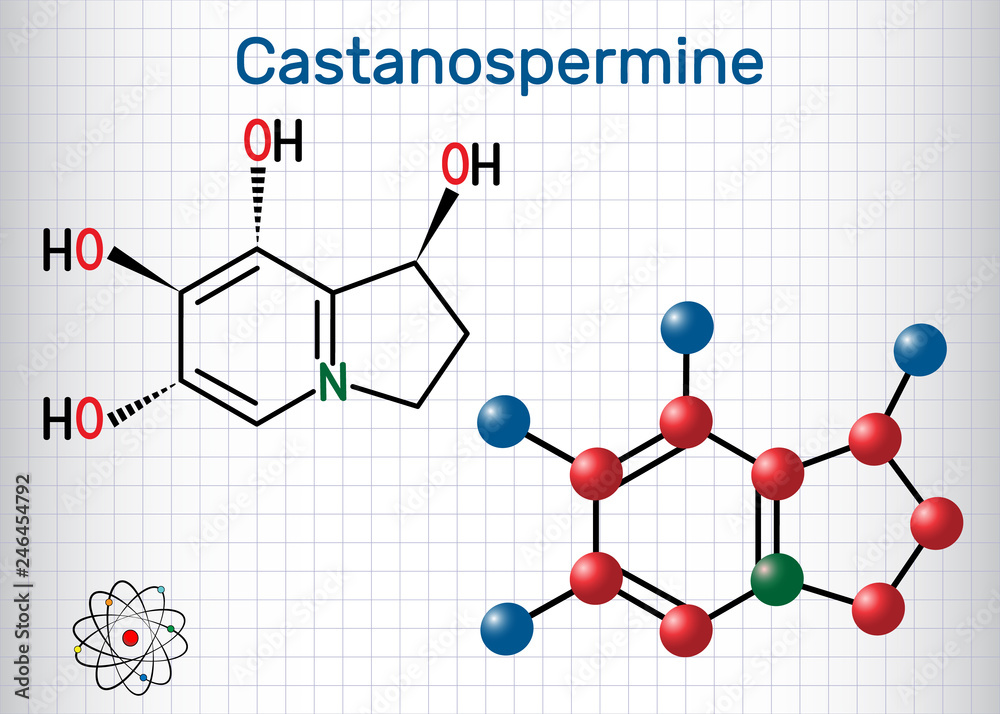 Castanospermine indolizidine alkaloid molecule. Sheet of paper in a cage. Structural chemical formula and molecule model Castanospermine indolizidine alkaloid molecule. Sheet of paper in a cage. Structural chemical formula and molecule model