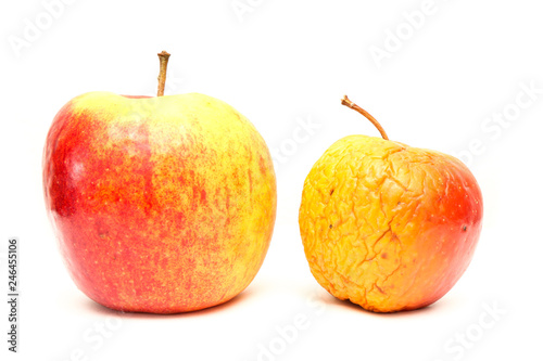 A picture of two ordinary apples, without modifications..as you know from the shop. The picture shows the maturing of the apples. One is fresh and one is dry.  photo