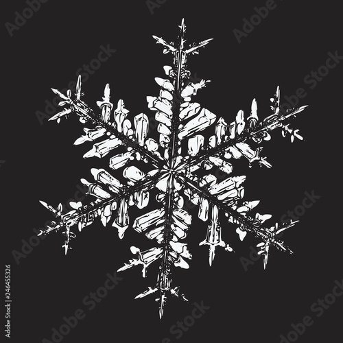 White snowflake on black background. Vector illustration based on macro photo of real snow crystal: elegant star plate with fine hexagonal symmetry, six short, broad arms and complex inner details.