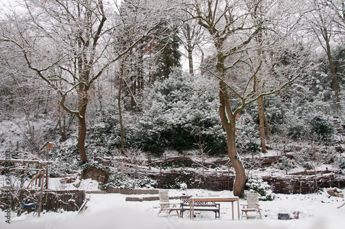 jardin en hiver sous la neige photo