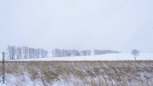 Wallpaper Mural Snowy frozen landscape of sunrise on lakeside with trees Torontodigital.ca