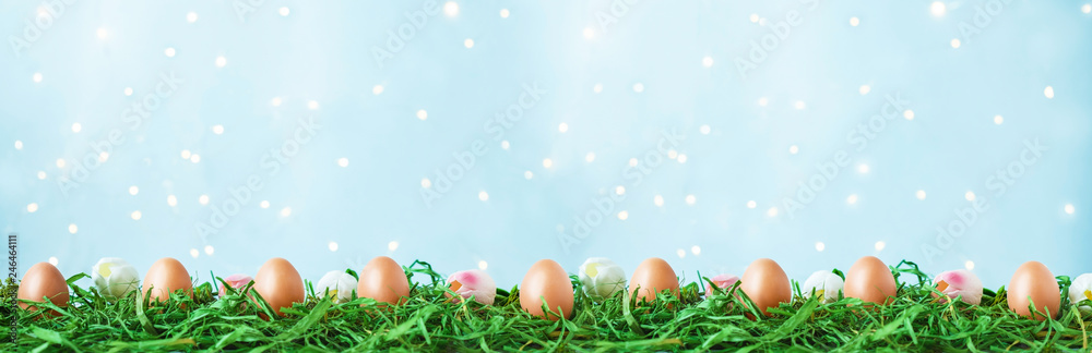 Easter eggs on green grass, tulips with bokeh and sunlight on a blue background Easter concept