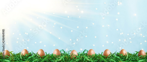 Easter eggs on green grass with bokeh and sunlight on a blue background Easter concept