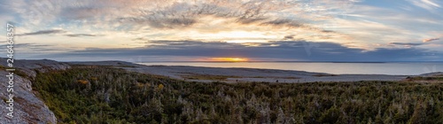 Scenic Canadian Landscape View on the Atlantic Ocean Coast during a cloudy sunset. Taken in Burnt Cape Ecological Reserve  Raleigh  Newfoundland  Canada.