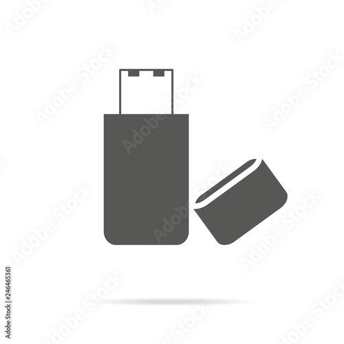 Flash, USB, Memory icon, stock vector. Graphic elements for your design