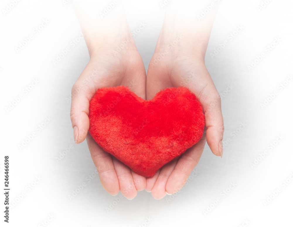 Obraz premium Female hands giving red heart