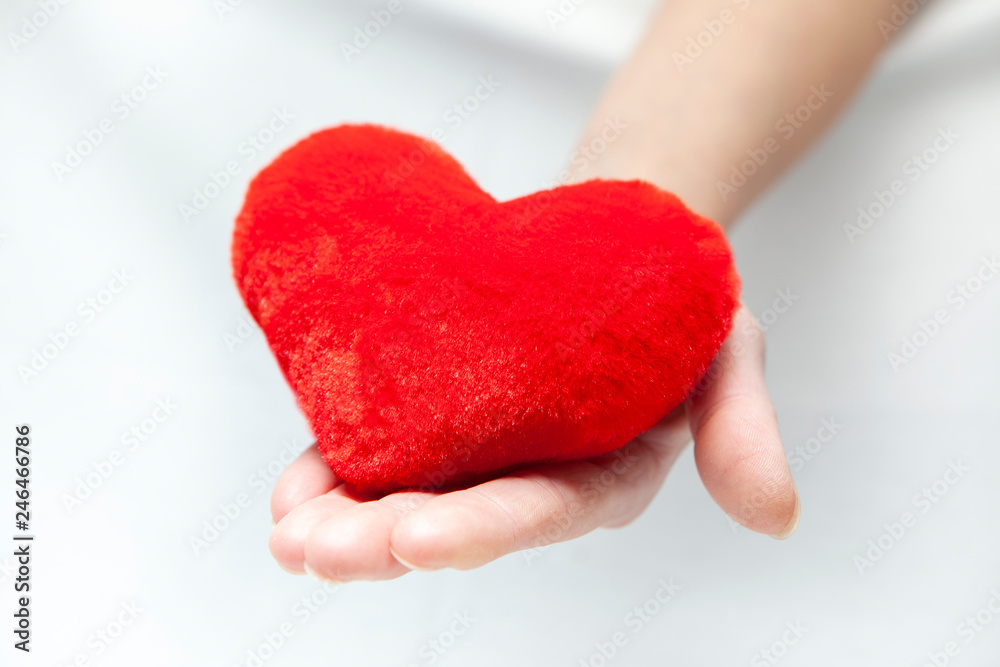 Obraz premium Female hands giving red heart