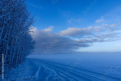 empty rural road along the edge of the forest in winter; a natural landscape with snow, forest, road, clouds, blue sky and fog