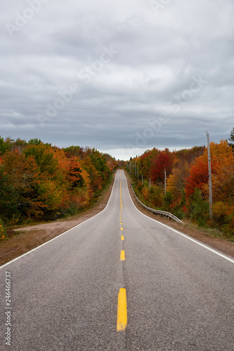 Scenic road during a cloudy day in the fall season. Taken in Nova Scotia, Canada.