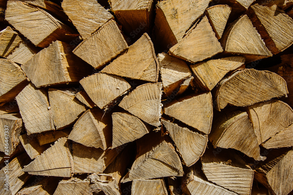 Logs of wood