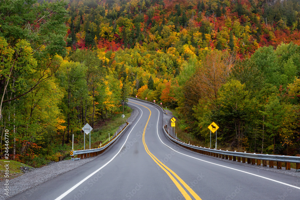 Scenic road in the mountains surrounded by vibrant Fall Color Trees. Taken in Forillon National Park, near Gaspé, Quebec, Canada. Scenic road in the mountains surrounded by vibrant Fall Color Trees. Taken in Forillon National Park, near Gaspé, Quebec, Canada.