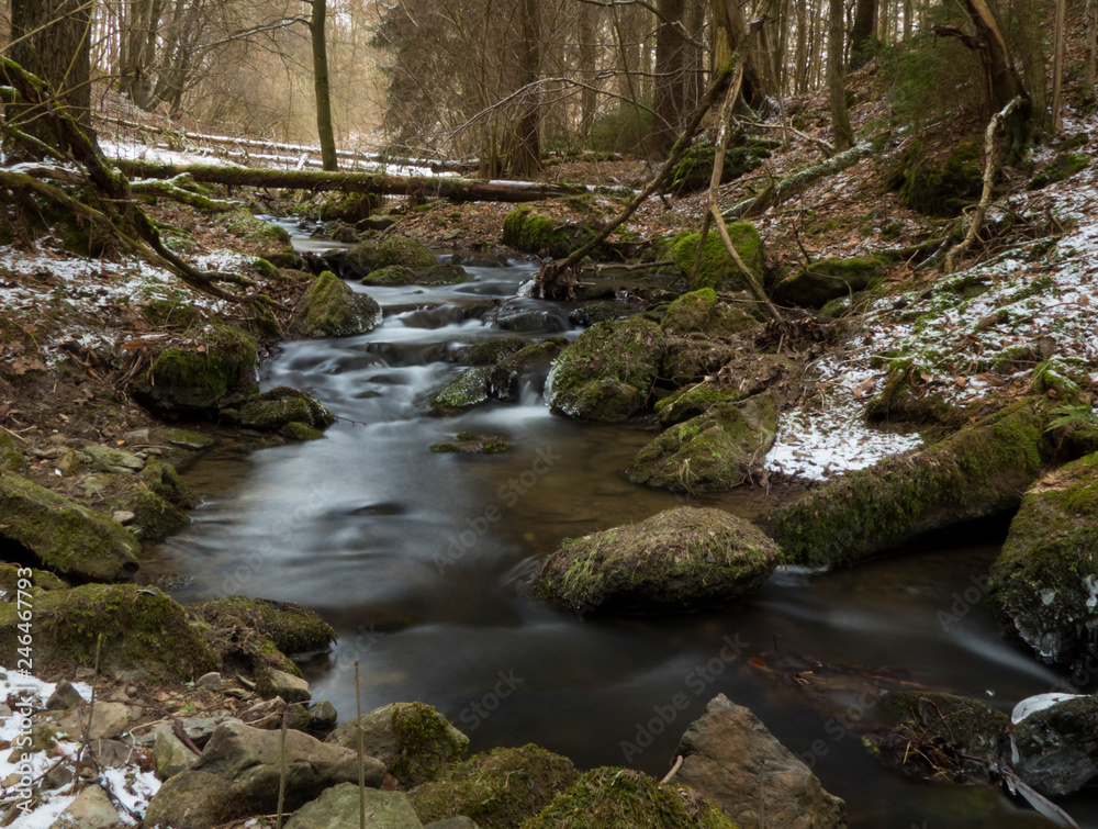 Fototapeta premium smooth motion of wild water in a river in winter with snow and ice on rocks and stones in the beautiful nature of a forest
