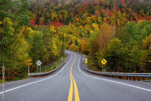 Scenic road in the mountains surrounded by vibrant Fall Color Trees. Taken in Forillon National Park, near Gaspé, Quebec, Canada. photo
