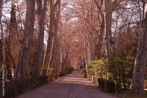 Paisajes otoñales en el parque