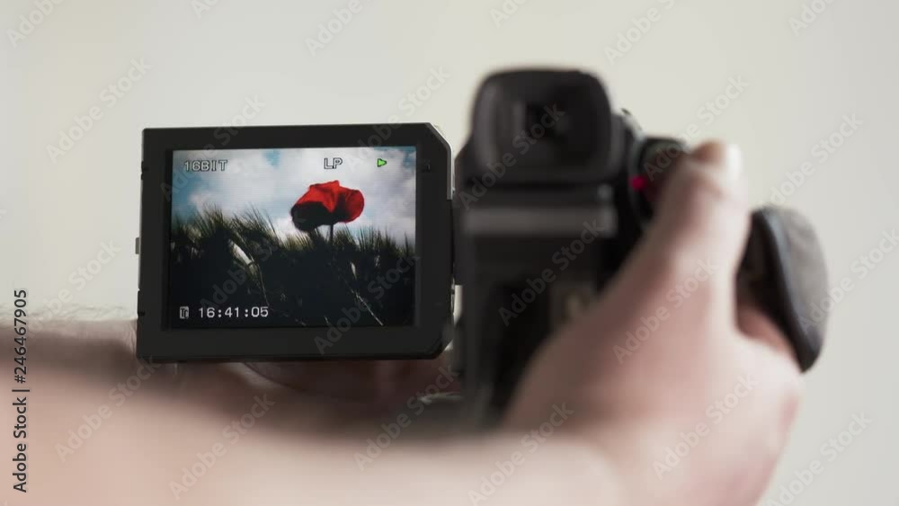 Playback of recorded movies on LCD screen of digital Mini DV tape camcorder. Summer landscape with sky and flowers on display of obsolete miniDV video camera. Playback of recorded movies on LCD screen of digital Mini DV tape camcorder. Summer landscape with sky and flowers on display of obsolete miniDV video camera.