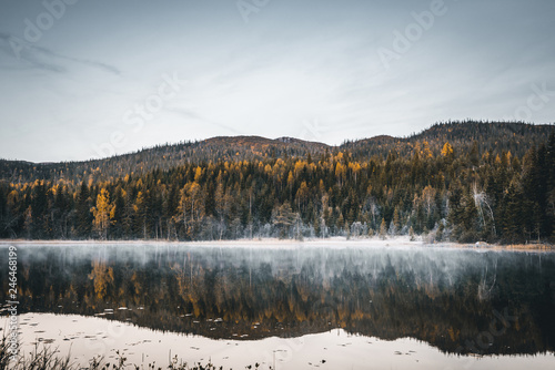 Herbst Wald Spiegelung