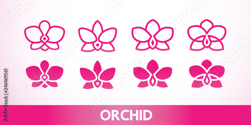 Premium grand Orchid design concept vector.  