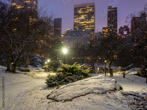 Central Park  New York City in winter