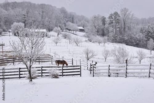 Winter farm scene