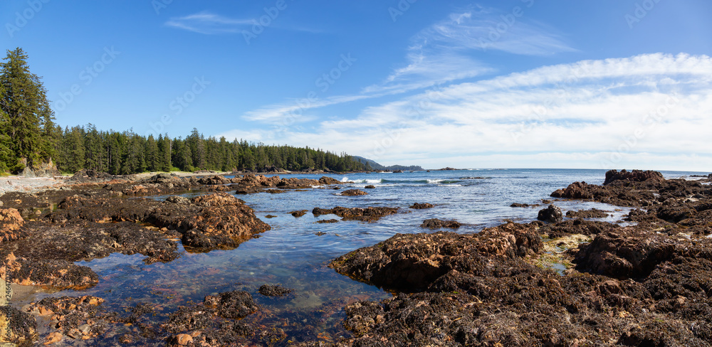 Rocky beach on the Pacific Ocean Coast during a sunny summer day. Taken in Palmerston Beach, Northern Vancouver Island, BC, Canada.