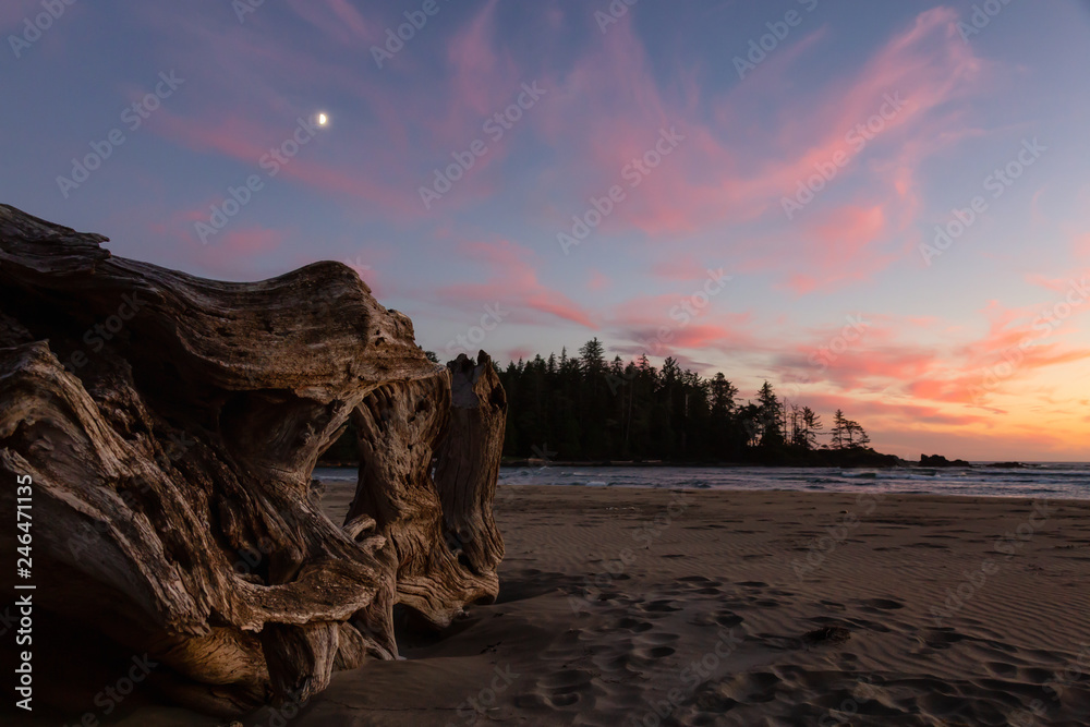 Beautiful sandy beach on the Pacific Ocean Coast during a vibrant summer sunset. Taken in Raft Cove Provincial Park, Northern Vancouver Island, BC, Canada.