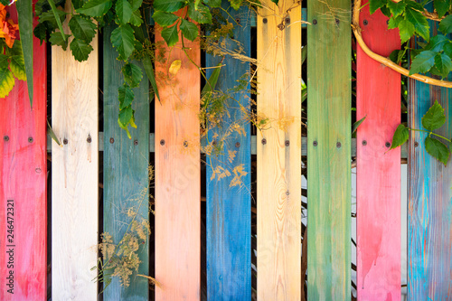 vintage colorful wood fence with flowers