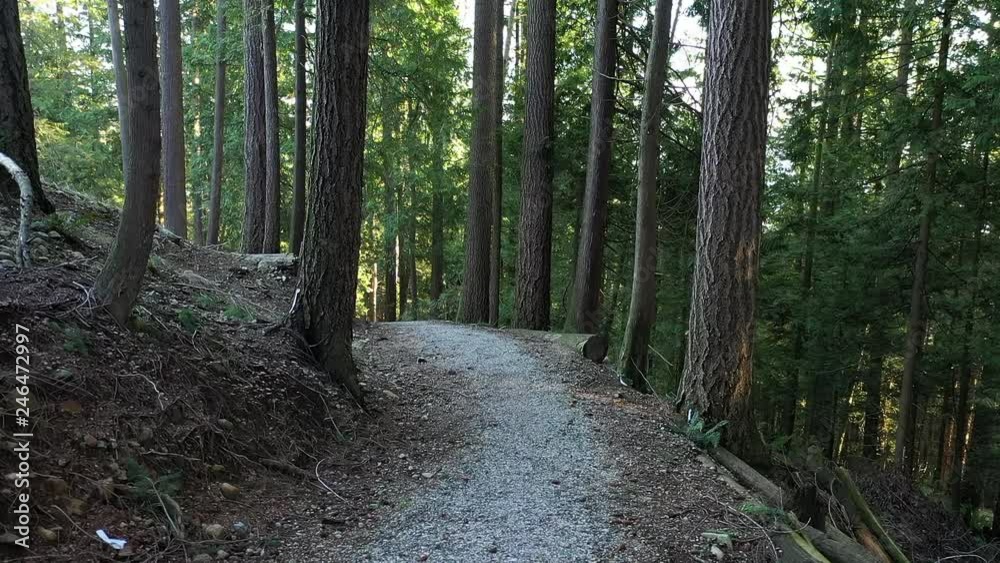 Low Aerial View at Trail in Park. Drone Flying 4K. Low Aerial View at Trail in Park. Drone Flying 4K.