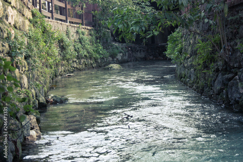 downward flowing water and flowers inside ducks