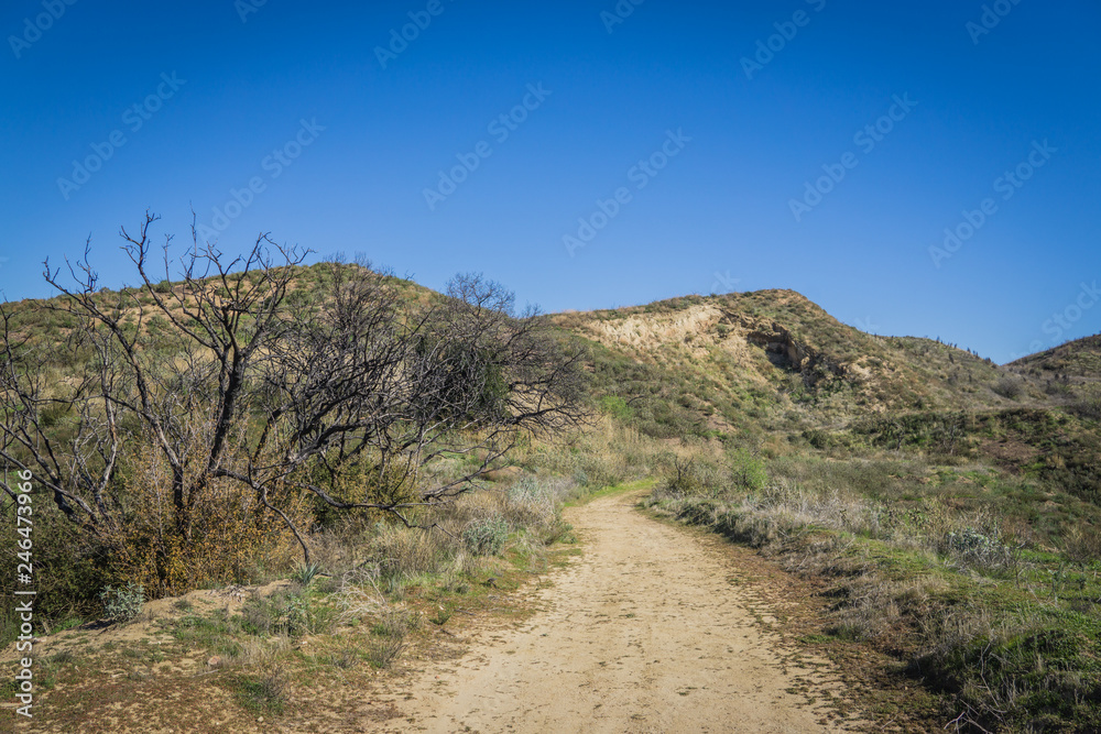 Walking Trail in Desert Wilderness