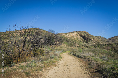 Walking Trail in Desert Wilderness
