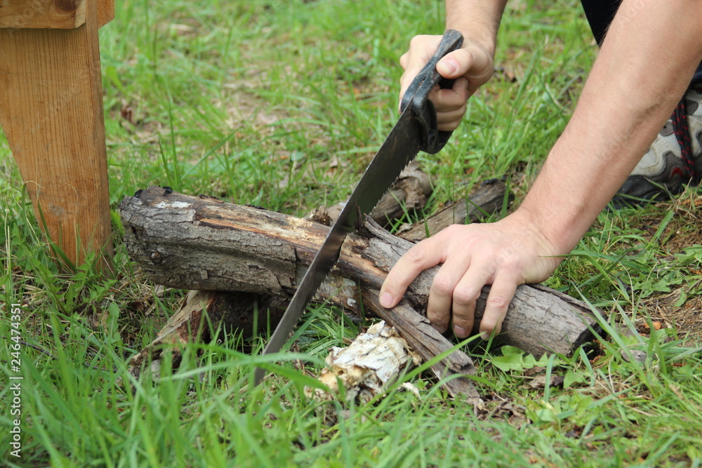 Fototapeta premium Preparation of firewood