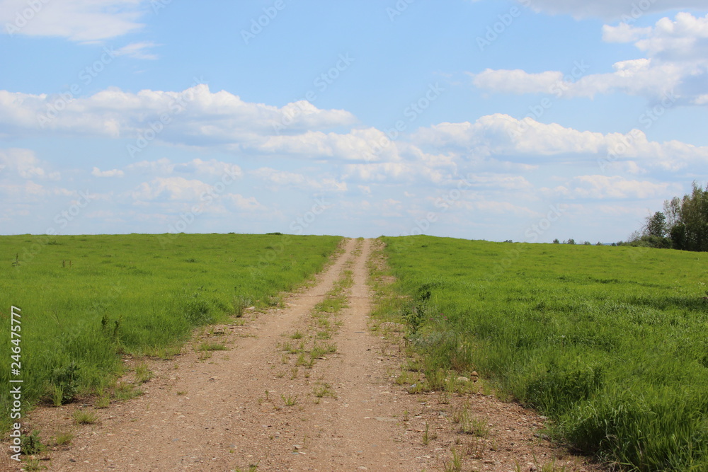 The road in the field