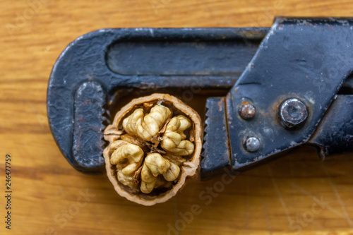 Fototapeta Naklejka Na Ścianę i Meble -  Fresh walnuts on a wooden table with nutcracker.