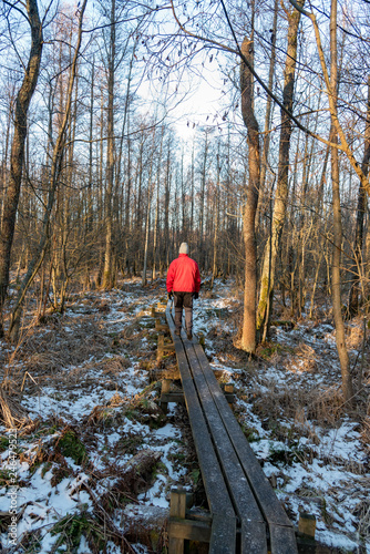 man out walking on footbridge in a forest photo