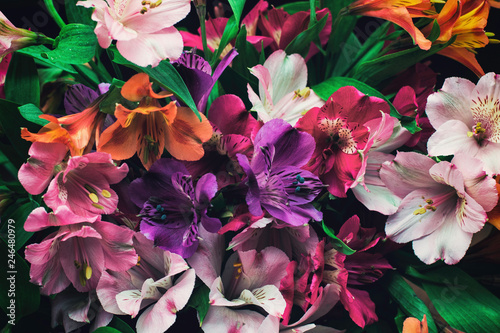 seamless background with flowers