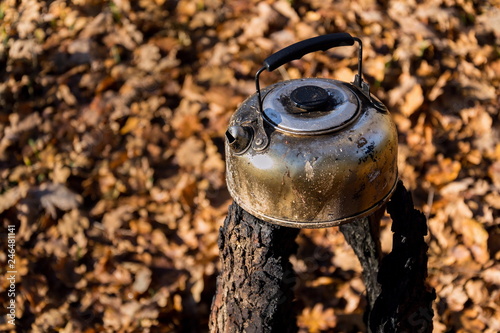 Billede på lærred Tin tea kettle stands on spent swedish fire torch in forest, fallen leaves natur