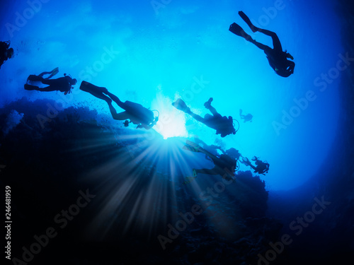 Divers in the Red Sea. Bottom view.