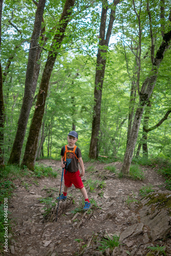 A boy with a backpack stands on a rocky path in the green forest