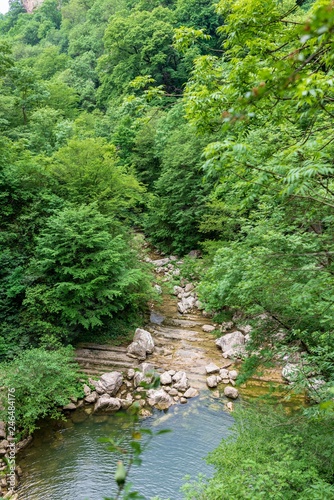 A mountain river with stony shores flows from a lake through a gorge with dense green forest